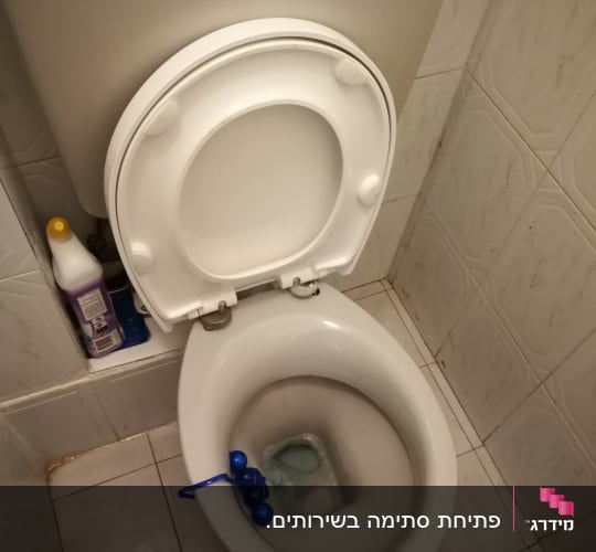 אסלה עם מברשת ניקוי כחולה בתוכה